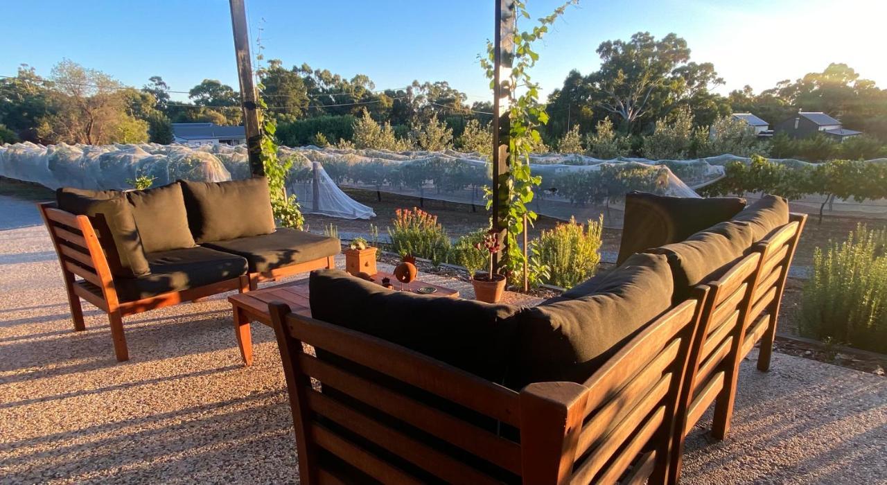 Casa Barbera Bed & Breakfast Mintaro Dış mekan fotoğraf